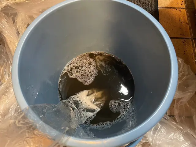 ５月 空き有☆P代無料！安心なエアコンクリーニングならお任せください！サービスの画像