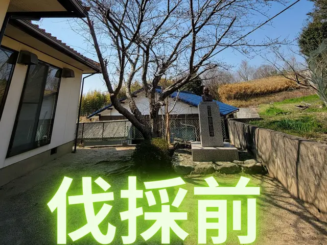 【岡山市東区発】木を切るついでにお庭の悩みも切っちゃいましょう！サービスの画像