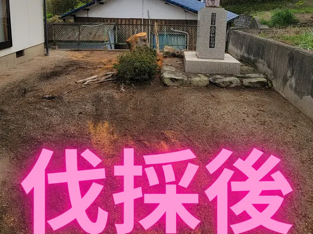 【岡山市東区発】木を切るついでにお庭の悩みも切っちゃいましょう！サービスの画像