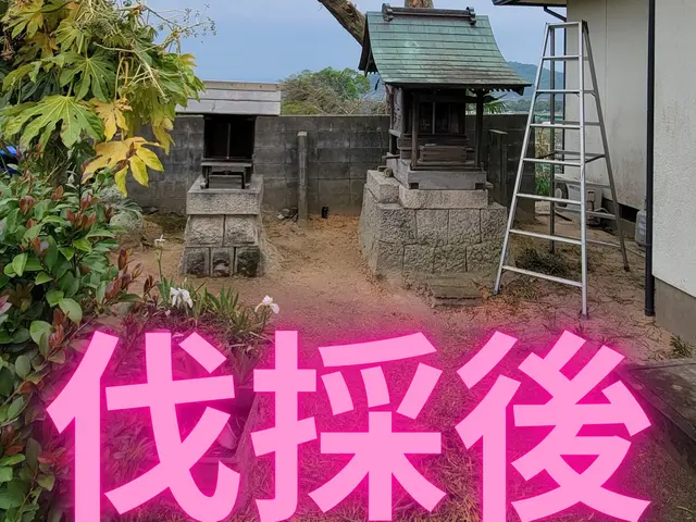 【岡山市東区発】木を切るついでにお庭の悩みも切っちゃいましょう！サービスの画像