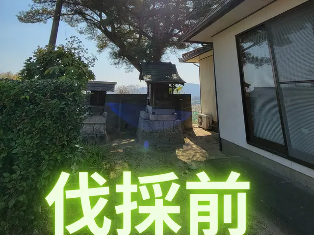 【岡山市東区発】木を切るついでにお庭の悩みも切っちゃいましょう！サービスの画像