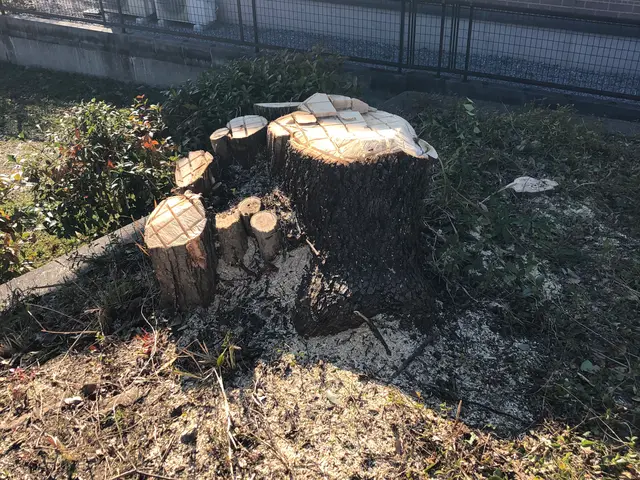 《年中無休》作業外注ナシ！予約〜作業終了まで職人が責任を持って対応◎サービスの画像