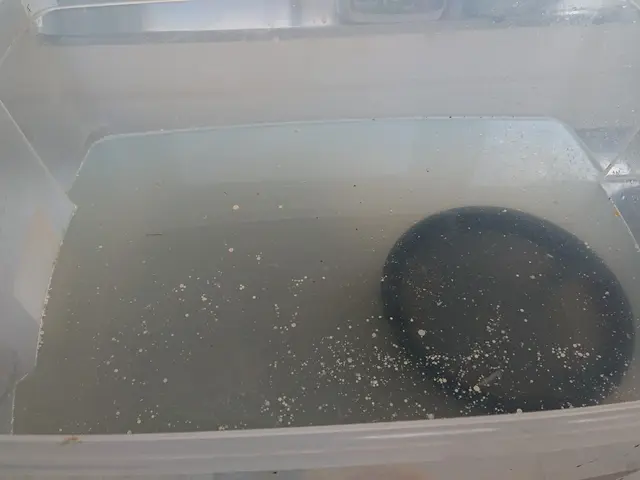 《ご利用感謝》３種類の油汚れ専用洗剤で効率よくキレイに仕上げますサービスの画像