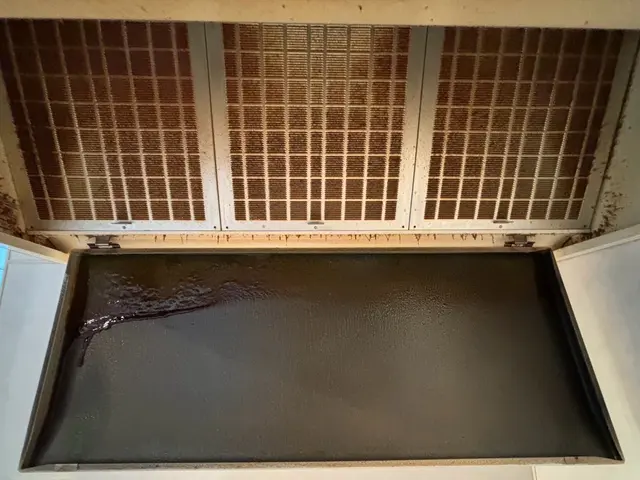 【10月早割】レンジフード（換気扇）クリーニング / レンジフードタイプサービスの画像