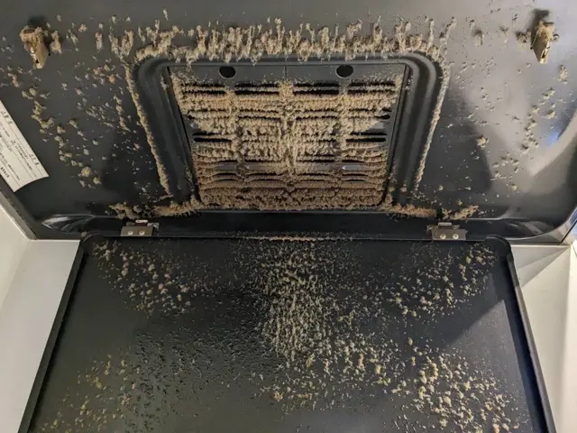 【10月早割】レンジフード（換気扇）クリーニング / レンジフードタイプサービスの画像