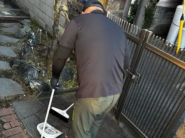 落ち葉清掃サービスの画像