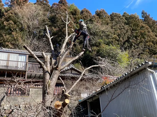 林業経験10年！植木屋経験10年！安心・安全・迅速に！！がモットーです！サービスの画像