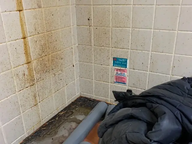 豊富な経験と知識で安心！仕上がり重視で迅速丁寧に作業いたします！サービスの画像