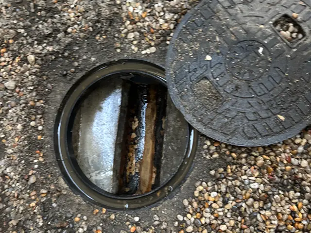 プロの技術でご満足いただけるように心を込めて作業いたしますサービスの画像