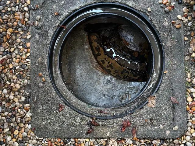 プロの技術でご満足いただけるように心を込めて作業いたしますサービスの画像