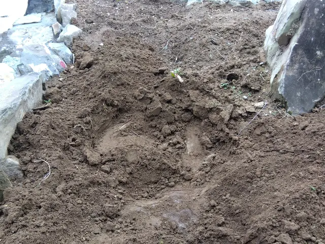 【女性スタッフの同行OK】業界歴16年の経験実績★駐車代は当店が負担します！サービスの画像