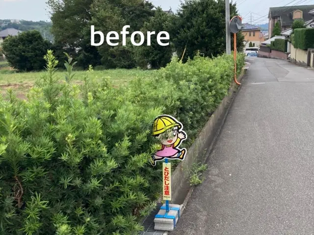 伸びてしまっても大丈夫！植え込み、生垣をキレイに仕上げますサービスの画像