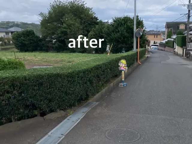 伸びてしまっても大丈夫！植え込み、生垣をキレイに仕上げますサービスの画像