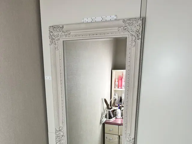 ミラー設置（単品）サービスの画像