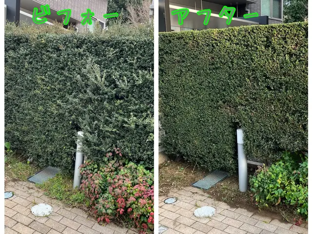 地域密着！経験10年以上、2級造園施工管理技士による植込、生垣剪定サービスの画像