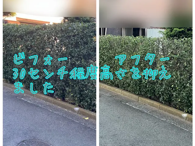 地域密着！経験10年以上、2級造園施工管理技士による植込、生垣剪定サービスの画像