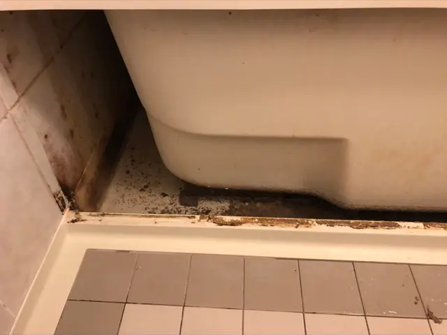 お掃除の質問なんでもOK！気になる事はじゃんじゃん聞いてください^_^サービスの画像