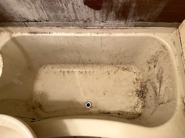 小さなお子さまにも安心！エコ洗剤でキレイが続く快適なバスルームへ☆今すぐ予約を！サービスの画像