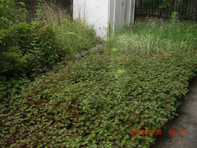 【船橋発】総口コミ数250件！この道20年のベテランがお伺い致しますサービスの画像