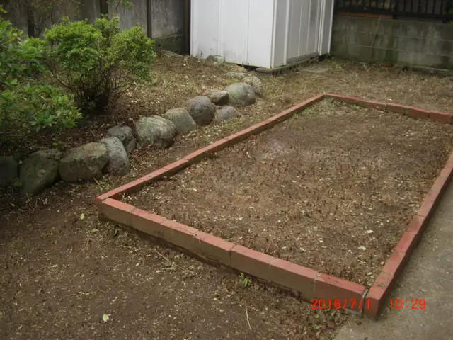 【船橋発】総口コミ数250件！この道20年のベテランがお伺い致しますサービスの画像