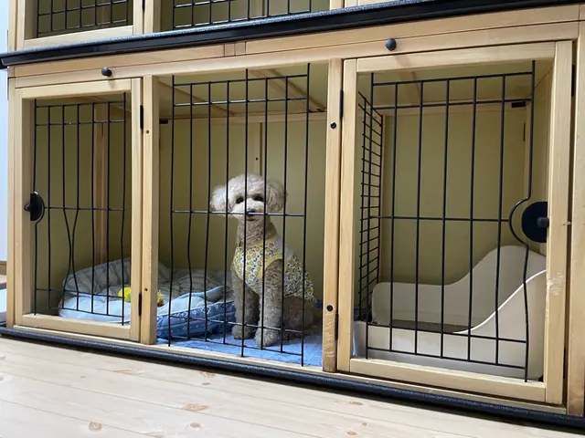 愛玩動物看護師歴14年以上のベテラン看護師が心を込めてお世話させていただきます！サービスの画像