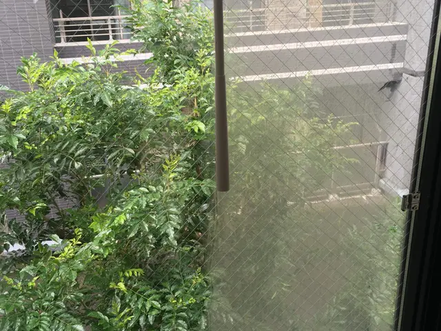 サングラスをご用意ください。掃除後は太陽光でお部屋が明るくなります！サービスの画像