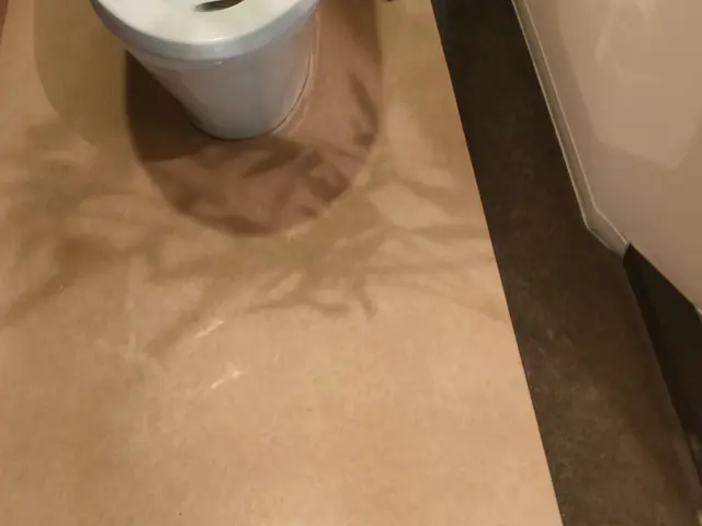 現金支払いでガラスコーティングが無料!!11月10日まで!!サービスの画像