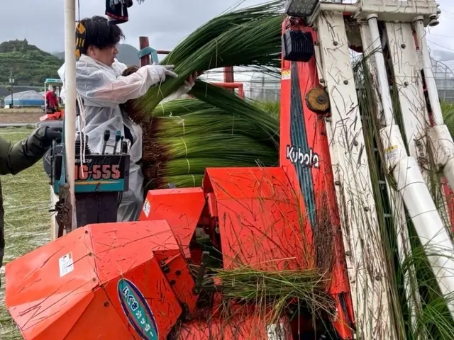 【☆新品靴下とスリッパ持参で伺う職人です☆】丁寧・誠実対応で安心をお届けします！サービスの画像