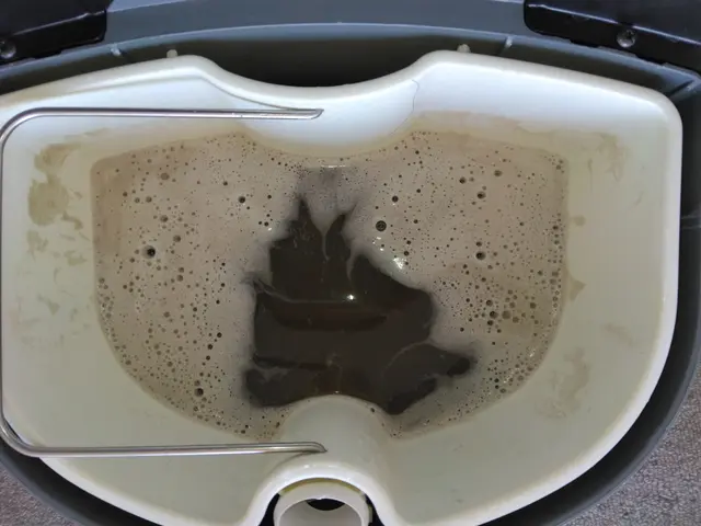 まだ使えるマットレスのクリーニング！ダニ死骸対策、おねしょ、嘔吐など。サービスの画像