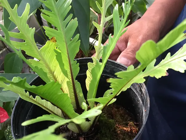 【地域密着・土曜も営業！】経験豊富なスタッフによる丁寧な庭仕事◆損保加入済サービスの画像