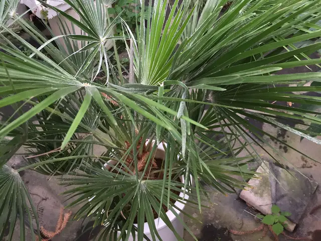 【地域密着・土曜も営業！】経験豊富なスタッフによる丁寧な庭仕事◆損保加入済サービスの画像