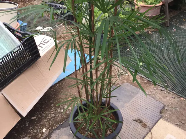 【地域密着・土曜も営業！】経験豊富なスタッフによる丁寧な庭仕事◆損保加入済サービスの画像