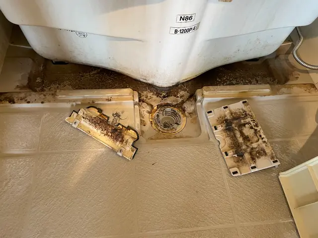 年間1000件以上の空室清掃を行っているお掃除専門の会社です！保険有｜追加費用無サービスの画像