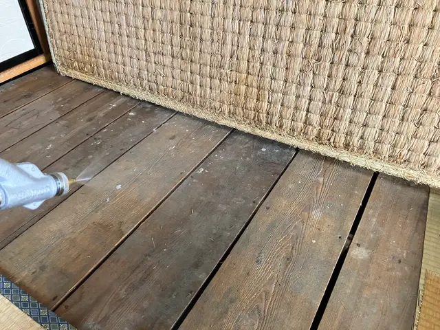 トコジラミ防除サービスの画像