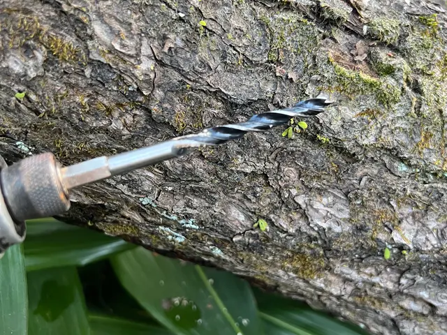 作業外注一切なし◎駐車場代お店負担♪豊富な経験と知識で安心！サービスの画像