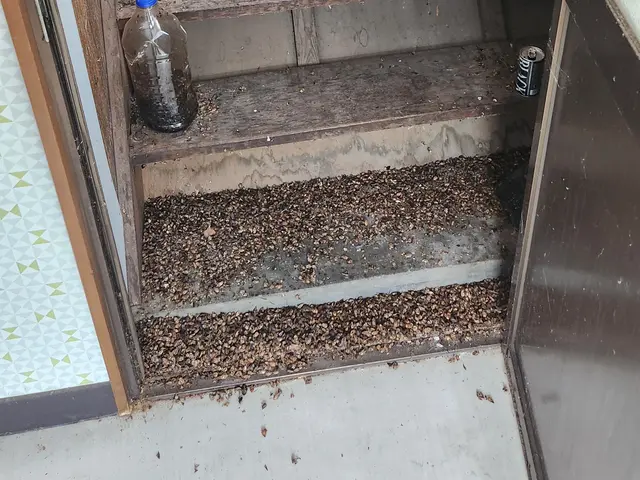 【休日対応可】嫌な臭いの害虫、ゲキタイします！サービスの画像