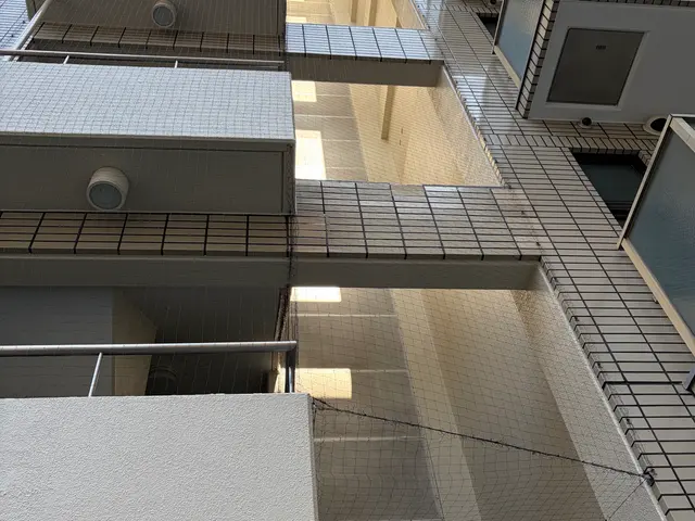 【鳥害専門27年】小さなベランダから太陽光パネルまで◎鳩のお悩み解消◎５年保証付サービスの画像