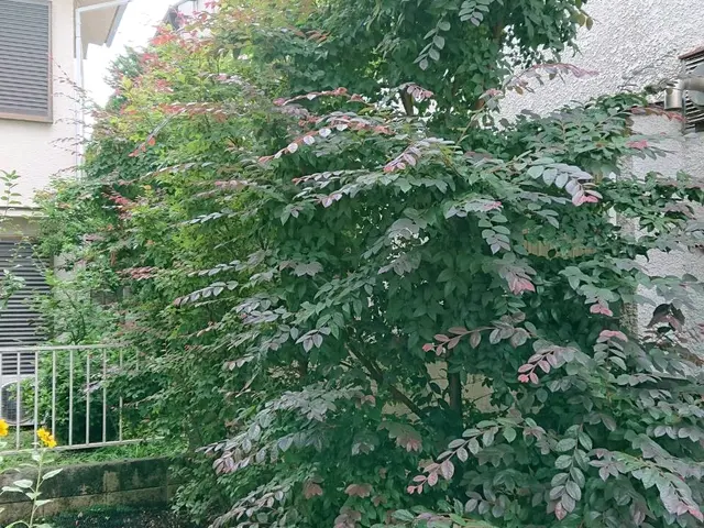 【職人歴13年】◆年中無休◆クレーン対応可◆安い、早い、丁寧！！◆サービスの画像