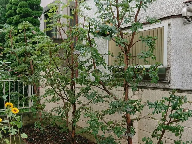 【職人歴13年】◆年中無休◆クレーン対応可◆安い、早い、丁寧！！◆サービスの画像