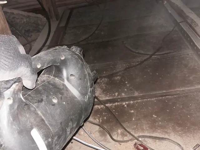 【害獣駆除】屋根裏の侵入者を徹底撃退！アフターフォローまで致します！サービスの画像