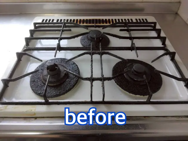 【この機会に害虫対策無料!!】害虫駆除と清掃のプロが手掛ける水回りクリーニング！サービスの画像