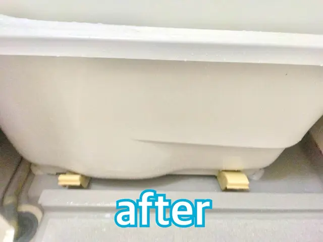 【この機会に害虫対策無料!!】害虫駆除と清掃のプロが手掛ける水回りクリーニング！サービスの画像