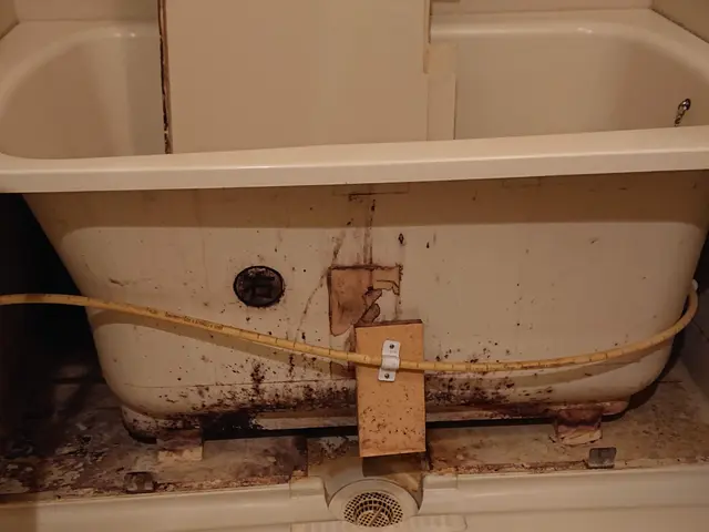 クレカOK!浴室クリーニング《損害保険加入済み》大手業者での経験有!!サービスの画像