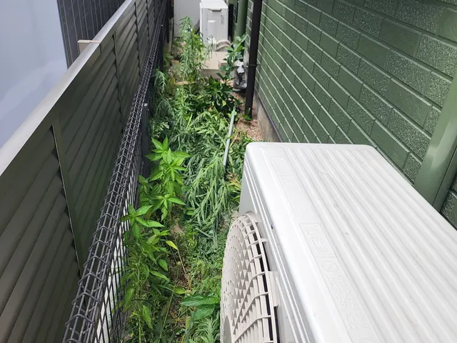 屋外専門、外回りのプロ便利屋TRUSTへお任せ下さい！サービスの画像