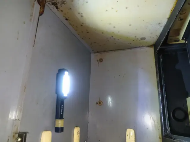 【全メニュー割引キャンペーン中！】しつこい油汚れも丁寧におそうじ致します！サービスの画像