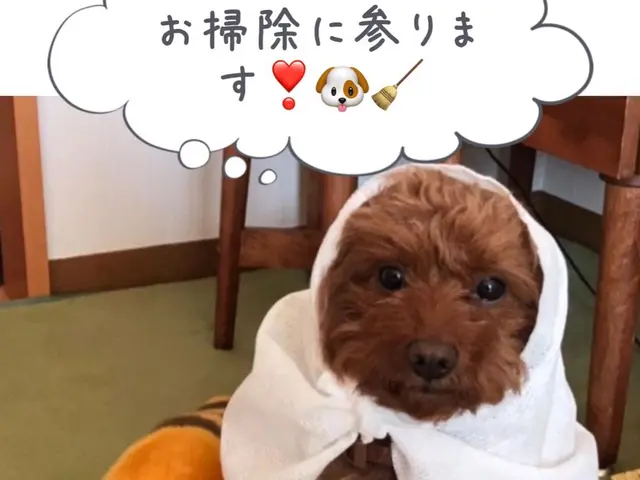 ＜丁寧・迅速対応＞エリア外もご相談可◎ご要望があれば女性スタッフ同行可能！サービスの画像