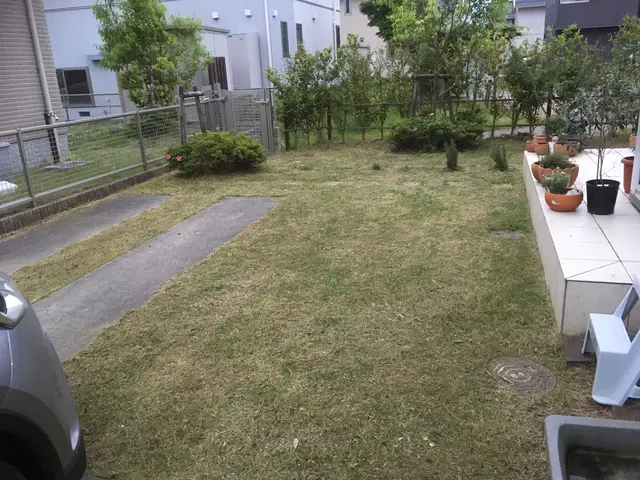 【春夏秋冬☆バリバリ刈取ります】 ☆草刈りに困ったら ︎任せて相談☆☆☆3星サービスの画像