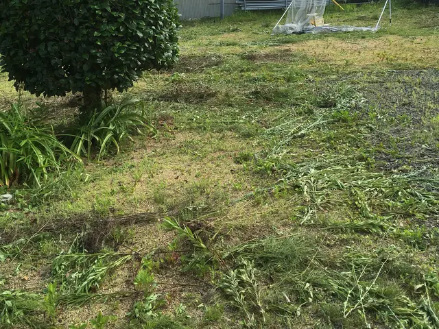 【春夏秋冬☆バリバリ刈取ります】 ☆草刈りに困ったら ︎任せて相談☆☆☆3星サービスの画像