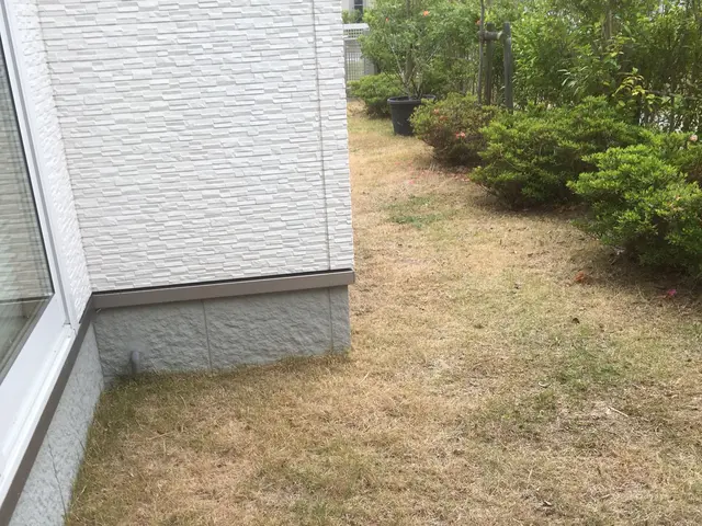 【春夏秋冬☆バリバリ刈取ります】 ☆草刈りに困ったら ︎任せて相談☆☆☆3星サービスの画像