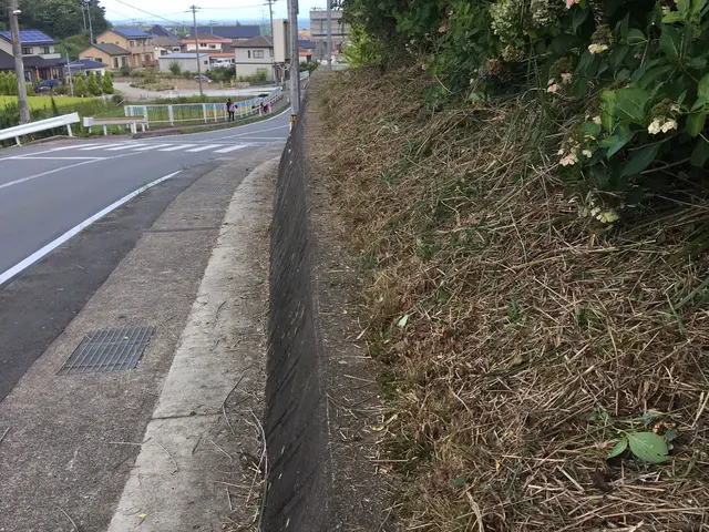 【春夏秋冬☆バリバリ刈取ります】 ☆草刈りに困ったら ︎任せて相談☆☆☆3星サービスの画像